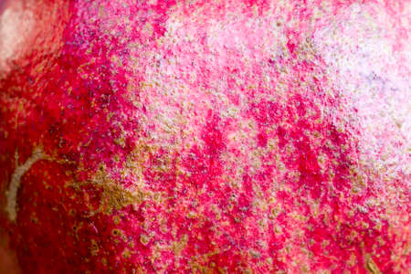 Red pomegranate fruit peel photographed close upの写真素材