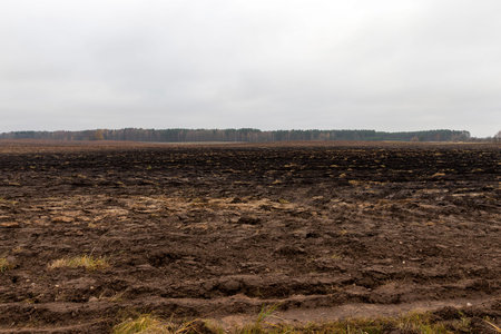 plowed agricultural field during the preparation of agricultural land for sowing a new crop