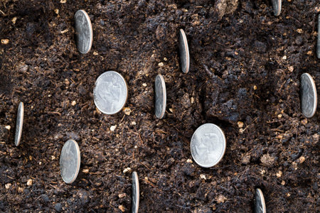cash American coins on the black fertile soil of an agricultural field, close-up, silver coin in a...