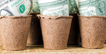 American cash dollars folded in seedling paper pots, close-up money in agriculture conceptの写真素材