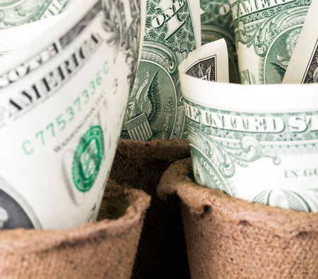 cash American banknotes - dollars lie in paper disposable pots for seedlings, close-up agriculture,...
