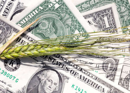 a pile of American dollars with a face value of one dollar folded together in a pile, a photo in natureの写真素材