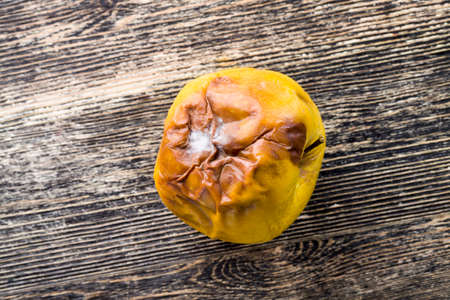 old apple covered with mold and rot, close-up of spoiled fruit on a wooden tableの写真素材