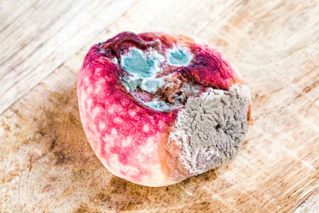 overripe mold-covered rotting peach flattened shape, close-up of spoiled fruit foodの写真素材