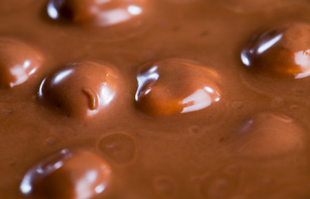 covered with a thick layer of milk sweet chocolate delicious and healthy hazelnuts, a large number...