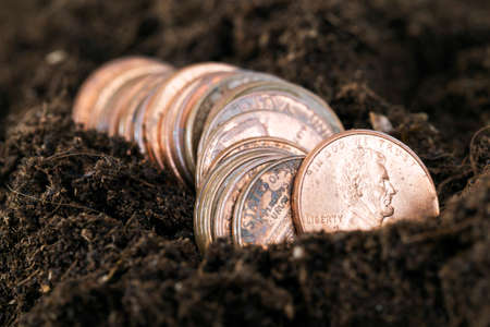 a large number of a pile of American coins of one cent, lie on the soil and ground in a field for sowing cropsの写真素材