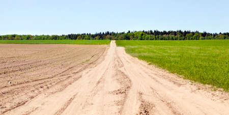 wide sandy road for cars in agriculture field, summer landscape with blue sky, road for everyone, including agricultural machineryの写真素材