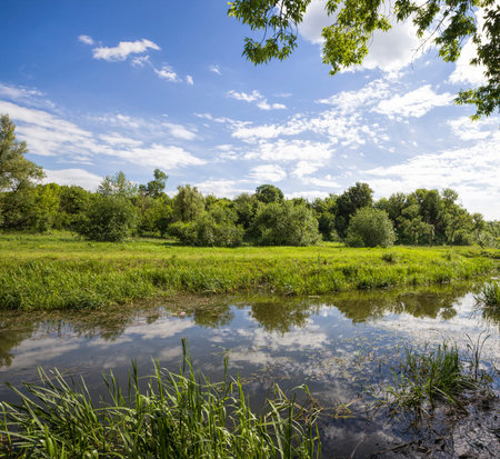real nature with green trees and grass illuminated by sunlight, real rest and distraction in nature,...