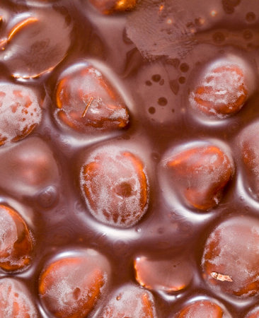 bitter real chocolate, photographed close-up with roasted hazelnut kernels inside