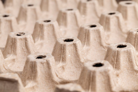 tray made of recycled cardboard for storing and transporting eggs, containers for food chicken eggsの写真素材