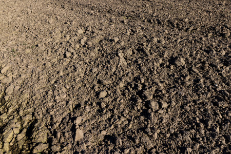 soil in an agricultural field that is being prepared to receive a new crop of plants, an...