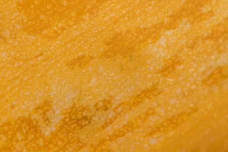 natural yellow-orange peel of a ripe pumpkin or zucchini, details of the peel of a ripe zucchini,...