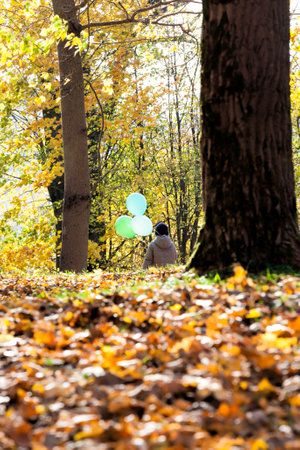 a walk in the Park with a child, a boy in the autumn Park during outdoor recreation in warm clothes, Sunny weather during a child's walkの写真素材