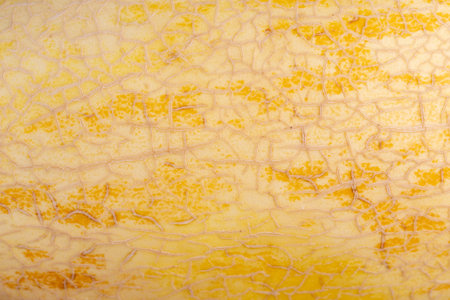 close-up of the peel of a ripe light yellow melon, the peel of a striped sweet melon