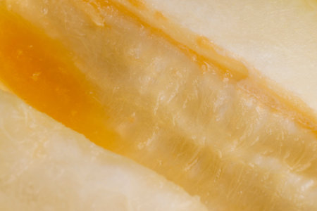 ripe delicious melon close-up, sliced ripe melon