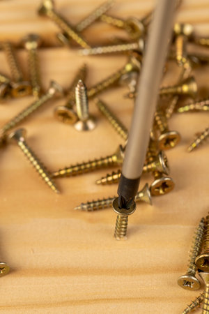 golden screws for construction, board and metal screws with a screwdriver for mounting, closeupの写真素材