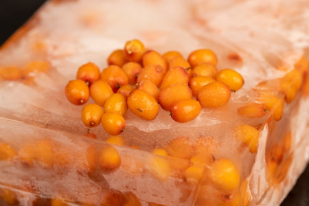 frozen orange sea buckthorn berries, sea buckthorn berries during deep freezing, Some of the berries have meltedの写真素材