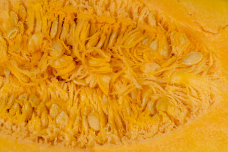 cut pumpkin with cooking seeds, preparing orange pumpkin for cooking, pumpkin seeds inside close upの写真素材