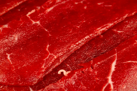 sliced beef jerky without cooking, beef dishes cut into thin slicesの写真素材