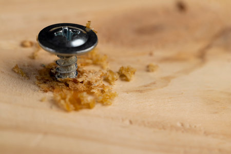screw for fixing boards, self-tapping screws with a drill tip twisted into a pine board, closeupの写真素材
