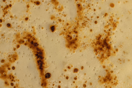 pancakes made from milk, pancakes made from milk with wheat flour of varying degrees of roasting, close upの写真素材