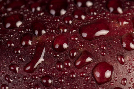 wet ripe purple eggplant covered with drops of water , ripe eggplant on the table before cookingの写真素材