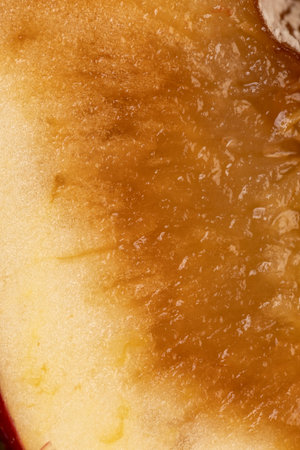 one rotting apple on the table, a ripe apple that has begun to deteriorate and become covered with...