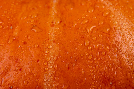 wet orange pumpkin with sweet flesh, a ripe large orange pumpkin from which various types of dishes are preparedの写真素材