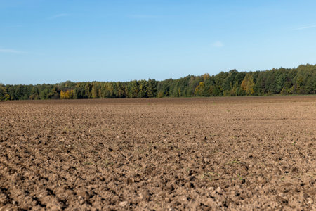 Plowed agricultural field next to the forest in autumn, preparation of soil in the autumn season for spring sowingの写真素材