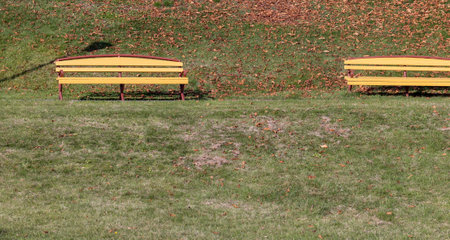 Benches installed in the park for recreation, painted with yellow paint benches in the park on a field with mown grassの写真素材
