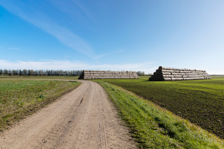 A country road without asphalt or gravel, a simple road driven on sand in a field in the countrysideの写真素材