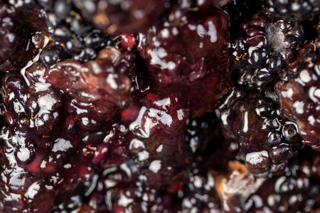 over-ripe, spoiled black blackberries covered with mold, spoiled food products naturally grown...