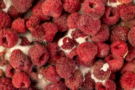 spoiled food products raspberries, close upの写真素材