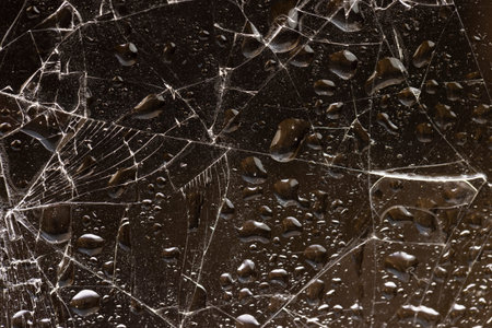 water covered broken glass on a dark background, glass broken into many pieces, close up
