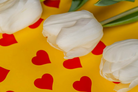 beautiful white tulips on yellow paper with red hearts, red hearts and white tulip flowers pasted on yellow paper, Real white flowers are lying on paperの写真素材