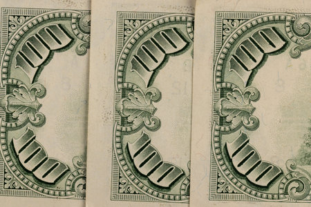 100 US dollars close up, money with a face value of one hundred American dollars, the reverse of...