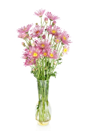 Beautiful flowers in vase  isolated on whiteの写真素材