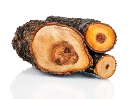 Stack of cut logs fire wood from tree. Renewable resource of a energy. Environmental concept.の写真素材