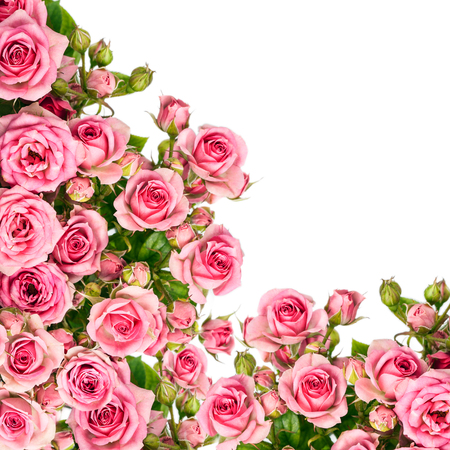 Beautiful Roses Bouquet Flowers Backgroundの写真素材