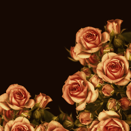 Beautiful Roses Bouquet Flowers Backgroundの写真素材