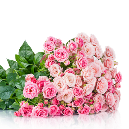 Big Pink Roses Bouquet Flowersの写真素材