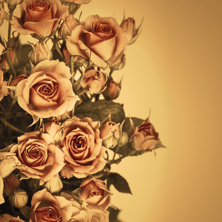 Beautiful Roses Bouquet Flowers Backgroundの写真素材