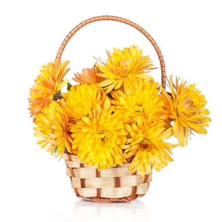 Chrysanthemum Flowers in basketの写真素材