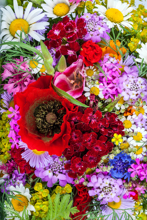 Beautiful wildflowers bouquet background. Cornflower, camomile, carnation, hand bell, poppy and over flowersの写真素材