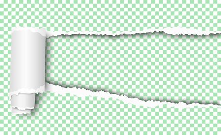 Vector elongated torn hole in transparent sheet of paper with soft shadow and paper curlのイラスト素材
