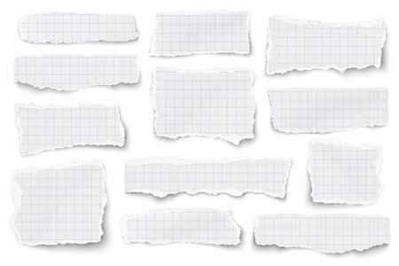 Set of checkered paper different shapes scraps isolated on white background. Vector paper mockup.のイラスト素材
