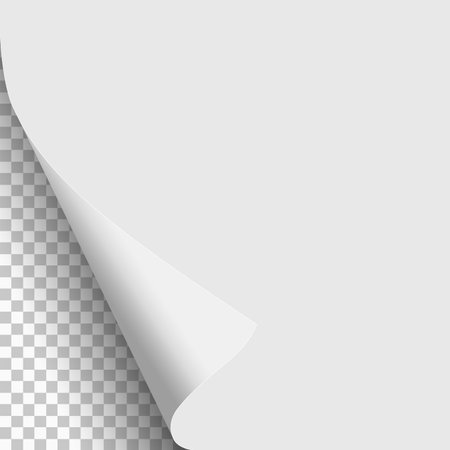 White Paper With Lower Left Curled Corner And Transparent Next Page Vector Paper Template Tasmeemme Com
