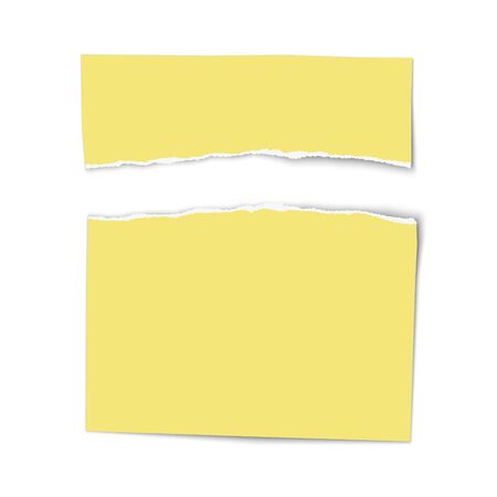 Ripped wisps of yellow note paper lying on white background.のイラスト素材