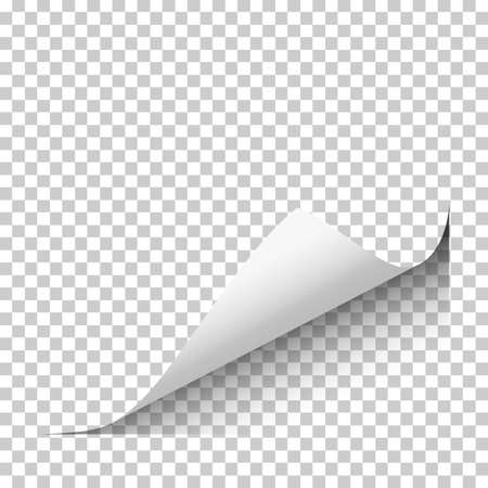 Vector page lower right curl with shadow on blank transparent sheet of paperのイラスト素材