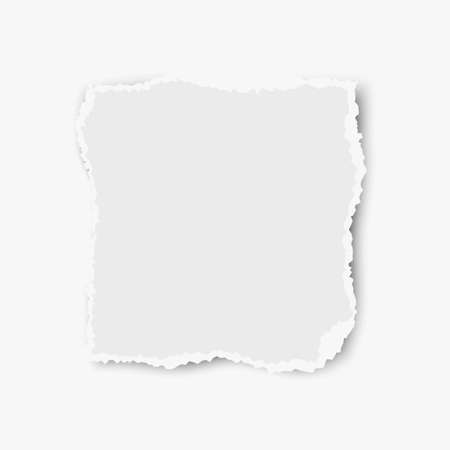 Ripped paper tear isolated on white background. Vector template paper design.のイラスト素材